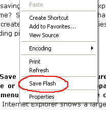 Flash Saving Plugin -  11