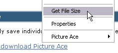 Select Get File Size