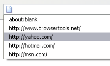 Firefox - Eingetippte URLs
