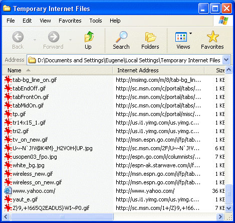 File temporanei di Internet (index.dat)